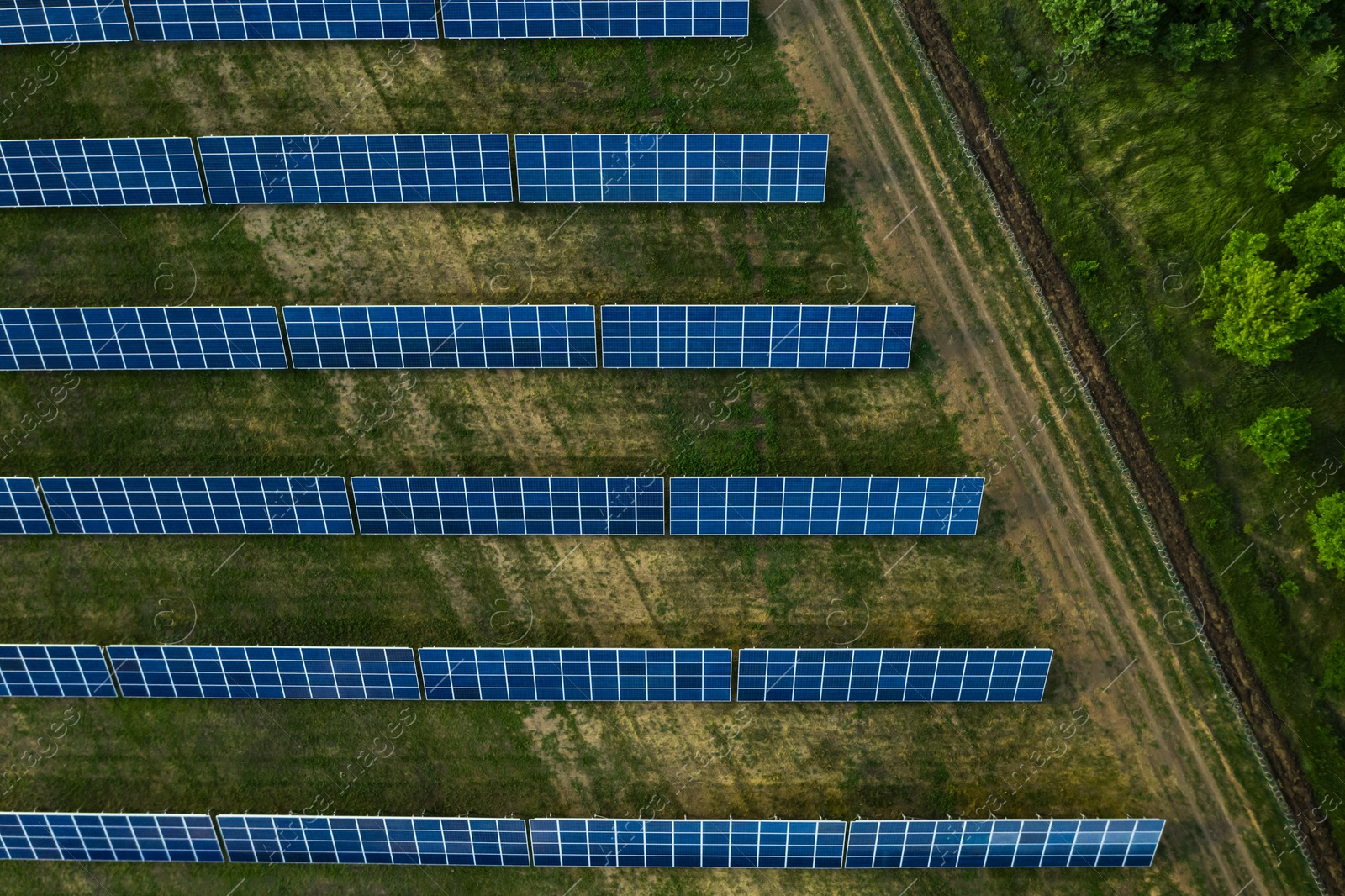 Image of Solar panels installed outdoors, top view. Alternative energy source