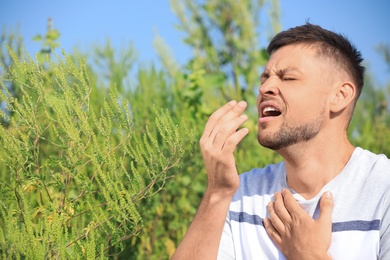 Man suffering from ragweed allergy outdoors on sunny day