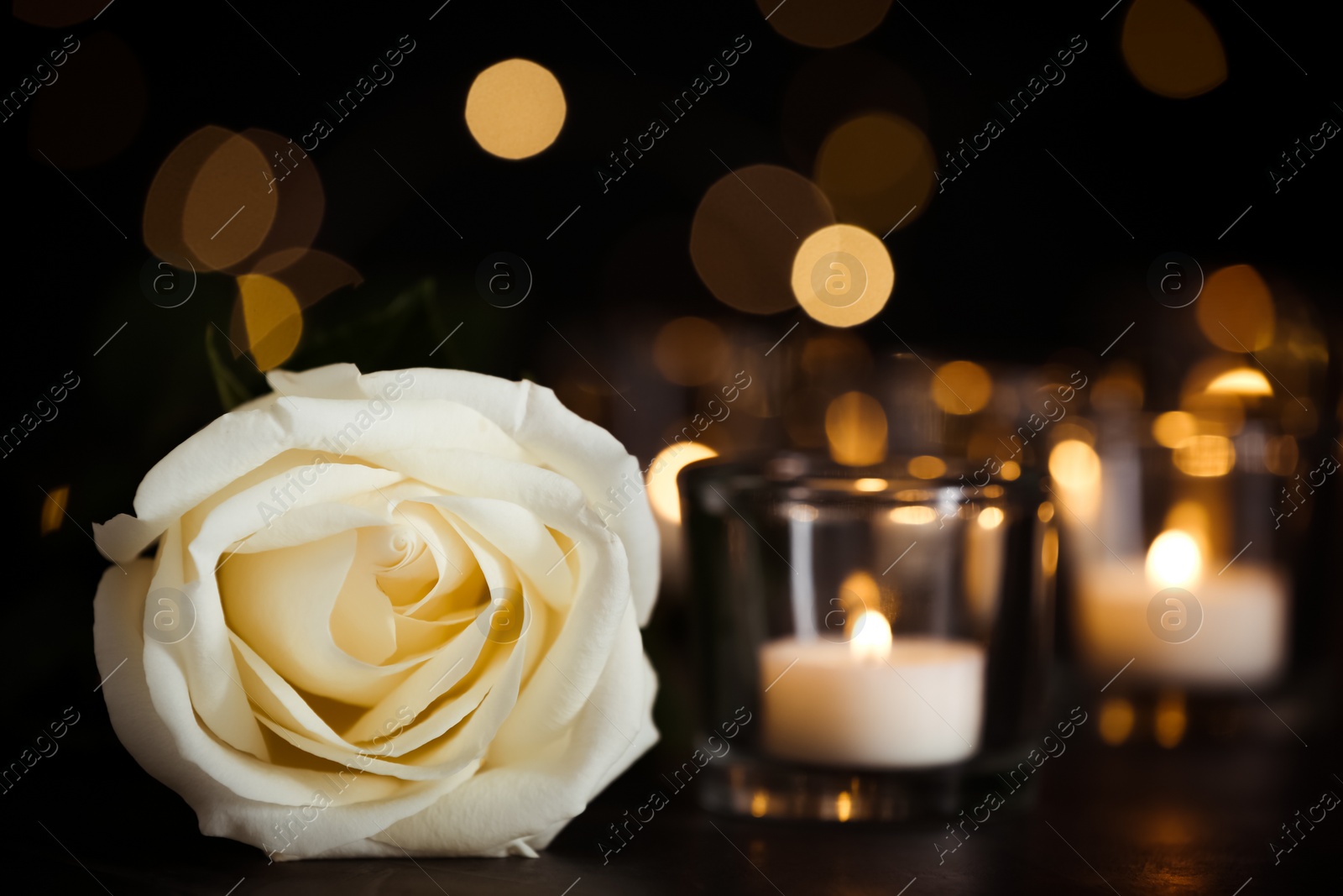 Photo of White rose and burning candles on table in darkness. Funeral symbol