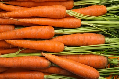 Many fresh ripe carrots as background, top view