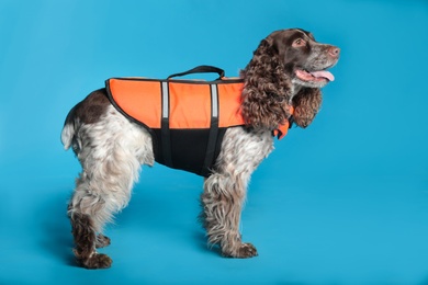 Photo of Dog rescuer in life vest on light blue background