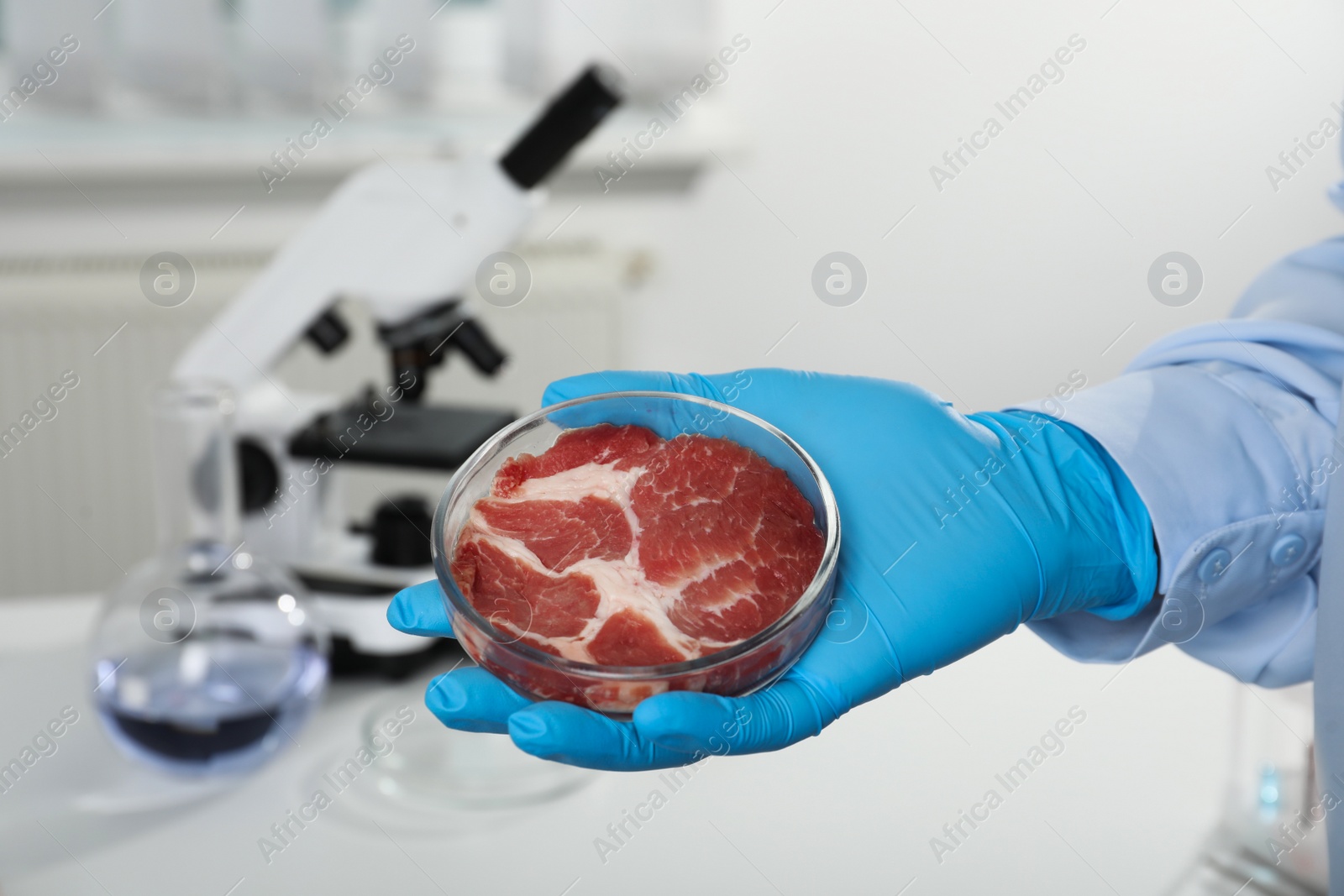 Photo of Scientist holding Petri dish with cultured meat in laboratory, closeup