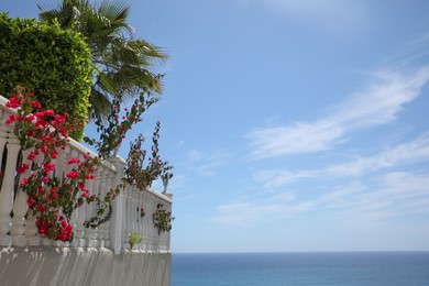 Beautiful plants and elegant white railing near sea on sunny summer day