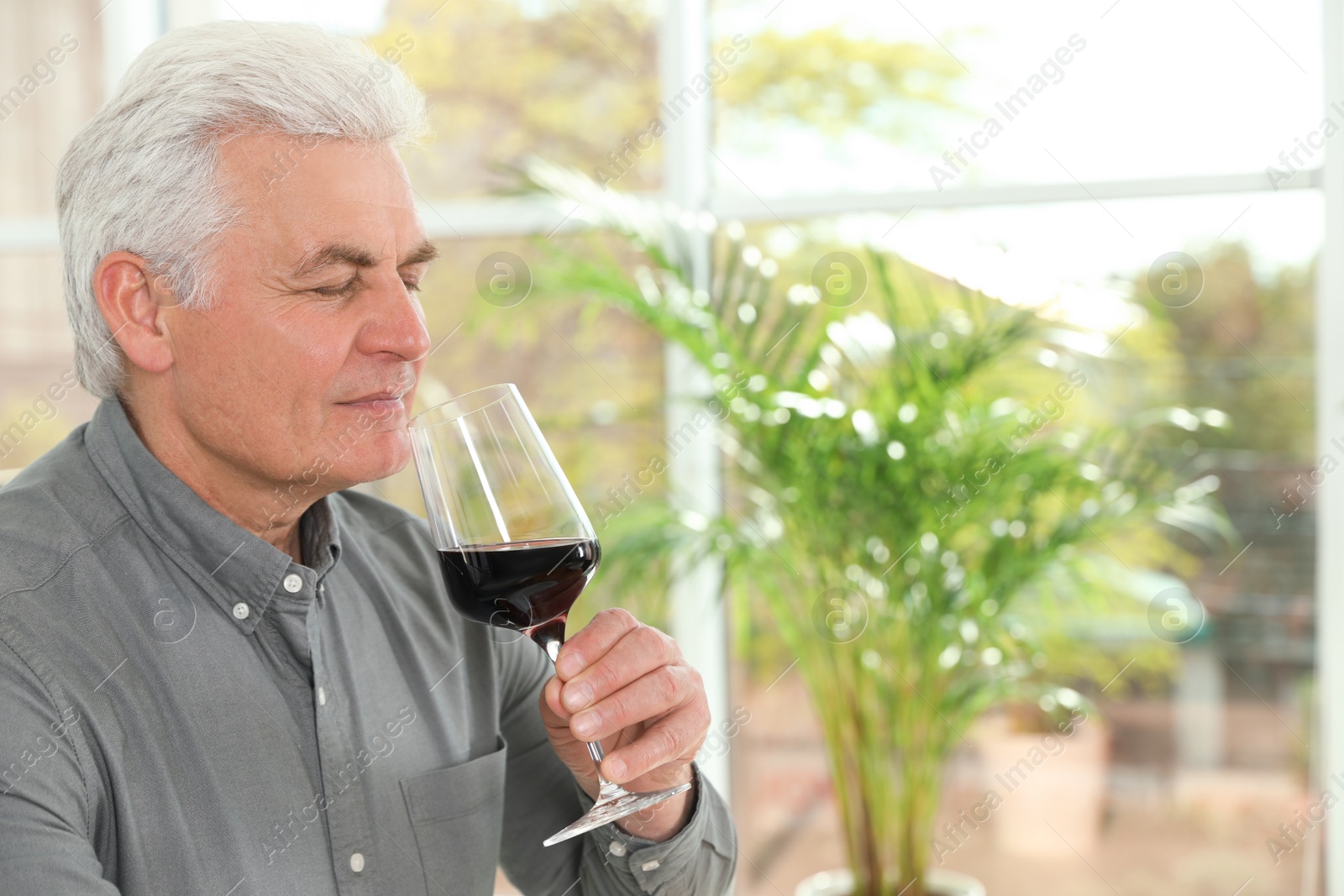 Photo of Senior man with glass of wine indoors. Space for text