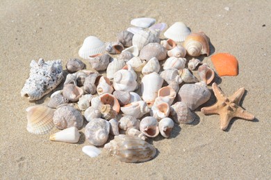 Beautiful starfish and sea shells on sandy beach