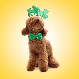 Image of St. Patrick's day celebration. Cute Maltipoo dog wearing headband with clover leaves and green bow tie on yellow background