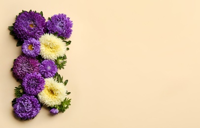 Photo of Beautiful asters and space for text on beige background, flat lay. Autumn flowers