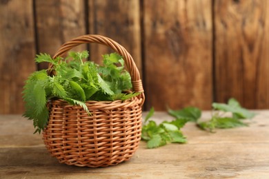 Photo of Fresh stinging nettle leaves in wicker basket on wooden table. Space for text