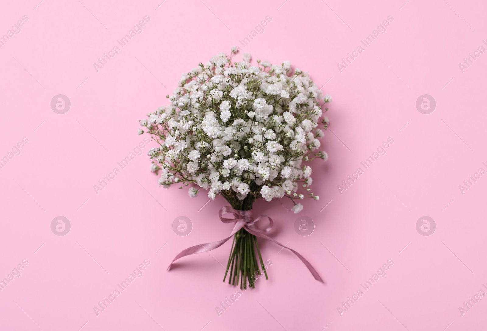 Photo of Bouquet of white gypsophila with ribbon on pink background, top view