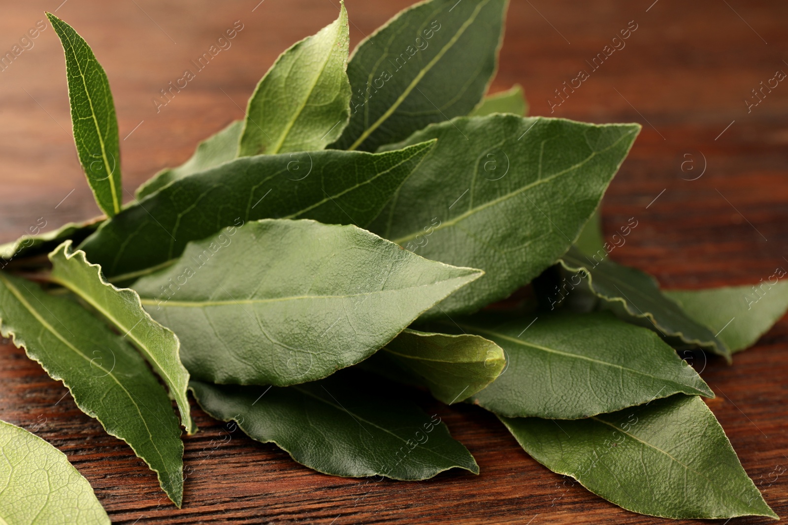 Photo of Aromatic fresh bay leaves on wooden table, closeup