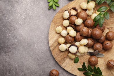 Photo of Tasty Macadamia nuts and green twigs on grey table, flat lay. Space for text