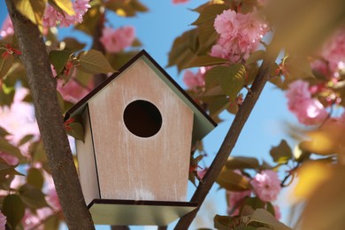 Wooden bird house on tree branches outdoors