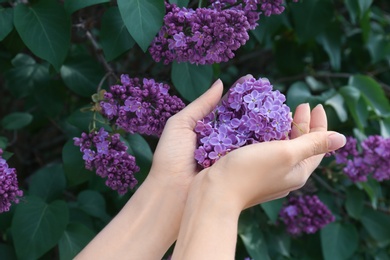 Young woman with blossoming lilac outdoors on spring day