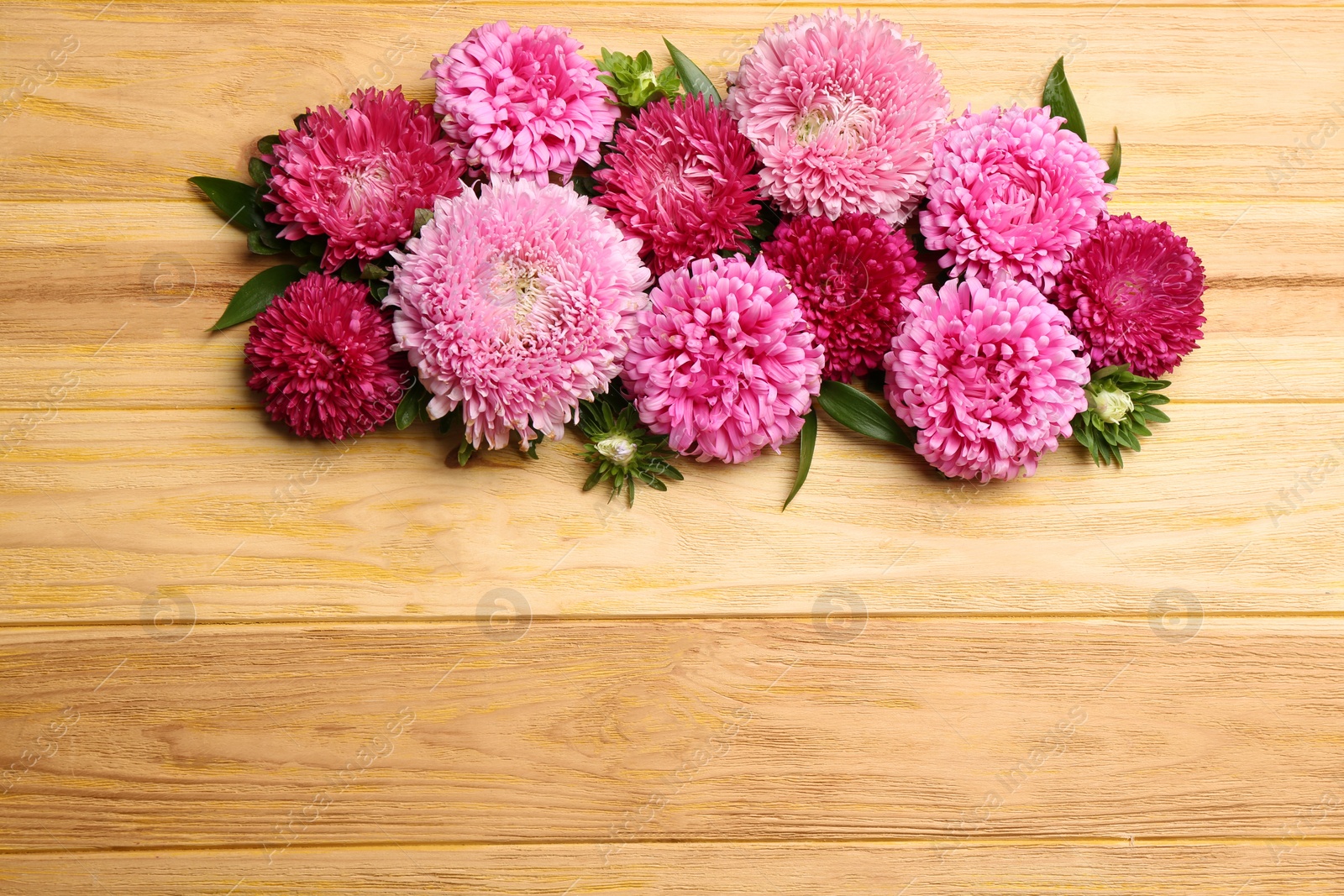 Photo of Beautiful asters and space for text on wooden background, flat lay. Autumn flowers