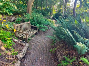 Photo of Wooden bench near pathway in beautiful park