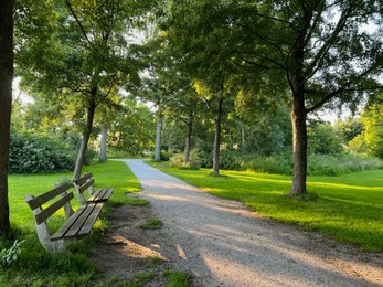 Photo of View of pathway going through park with beautiful green plants