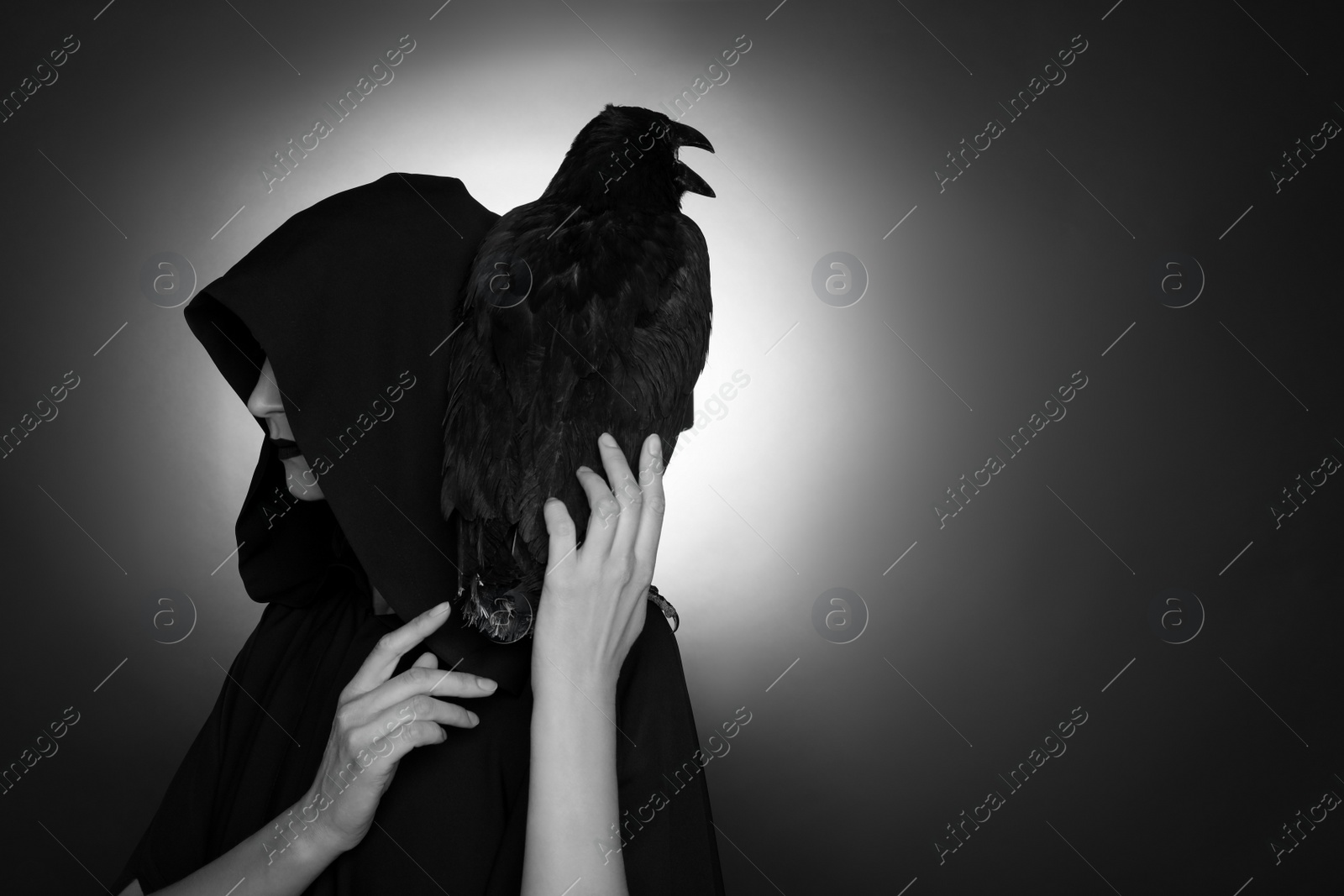 Photo of Mysterious witch with raven on dark background, space for text. Black and white effect