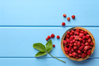 Photo of Fresh wild strawberries in bowl near leaves on light blue wooden table, flat lay. Space for text