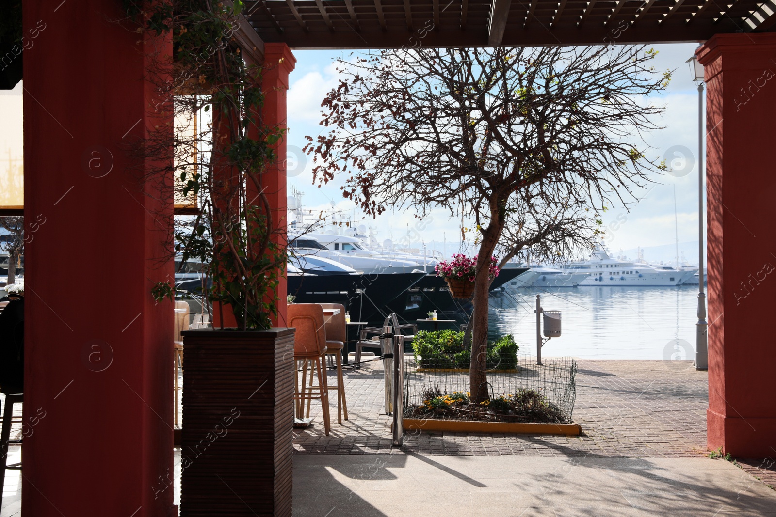 Photo of Picturesque view of beautiful trees near pier with different boats