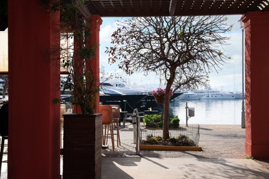 Photo of Picturesque view of beautiful trees near pier with different boats