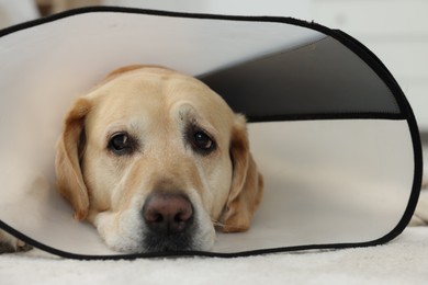 Photo of Sad Labrador Retriever with protective cone collar lying on floor in room