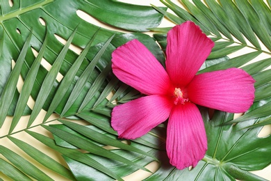 Photo of Flat lay composition with tropical leaves and Hibiscus flower on beige background