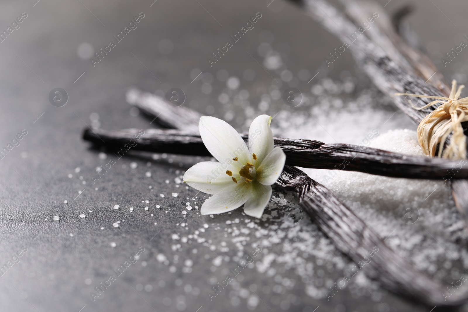 Photo of Vanilla pods, sugar and flower on gray table, closeup