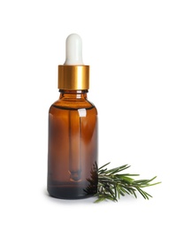 Bottle of natural oil and tea tree branch on white background