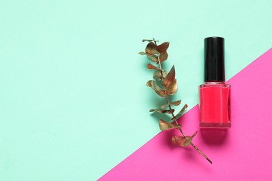 Nail polish and golden branch on color background, top view. Space for text