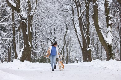 Woman with adorable Pembroke Welsh Corgi dog running in snowy park