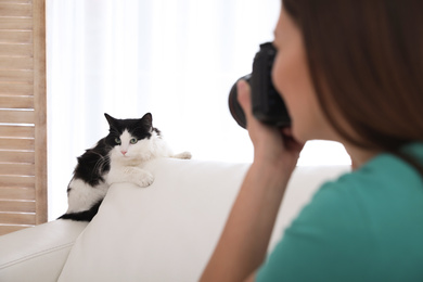 Photo of Professional animal photographer taking picture of beautiful cat indoors, closeup