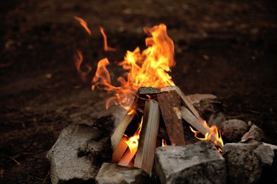 Photo of Beautiful bonfire with pile of burning firewood outdoors