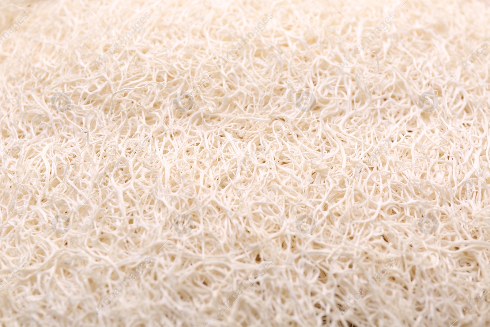 Photo of Loofah sponge as background, closeup. Personal hygiene product