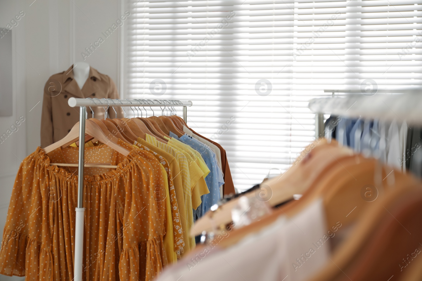 Photo of Collection of stylish women's clothes in modern boutique