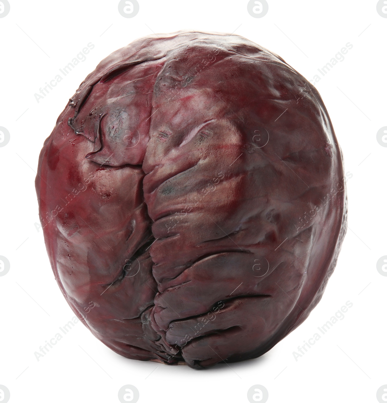 Photo of Purple fresh cabbage on white background. Healthy food