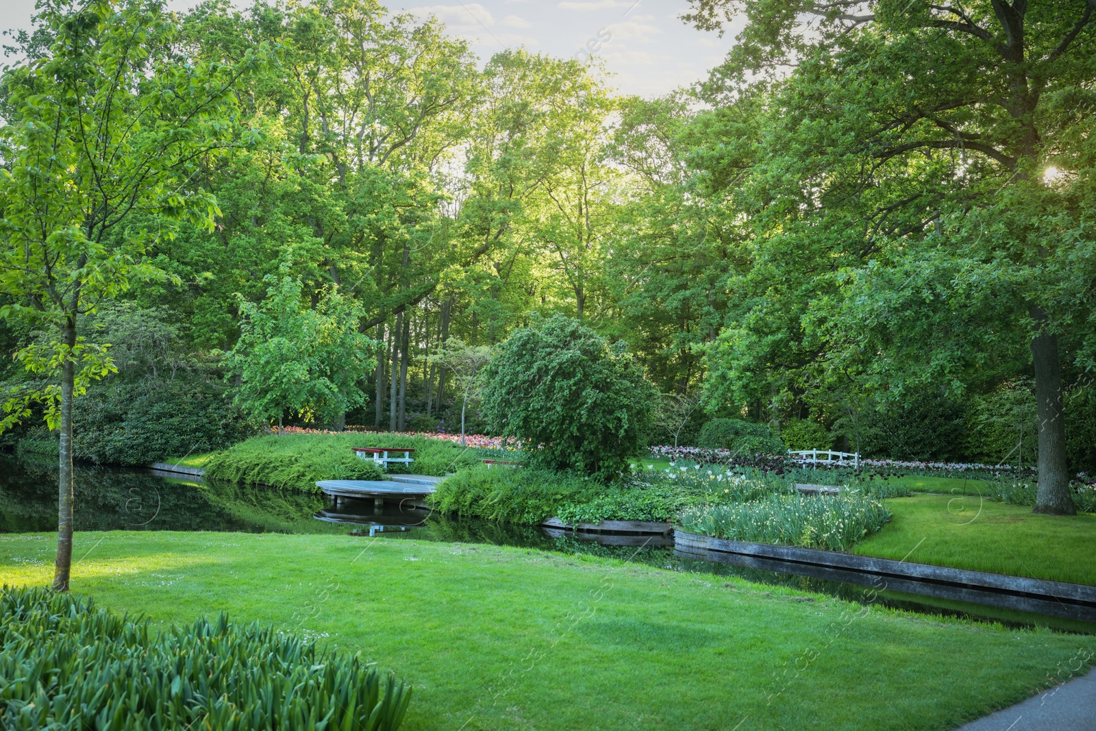 Photo of Park with beautiful plants and water canal on sunny day. Spring season