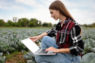 Woman using laptop with blank screen in field. Agriculture technology