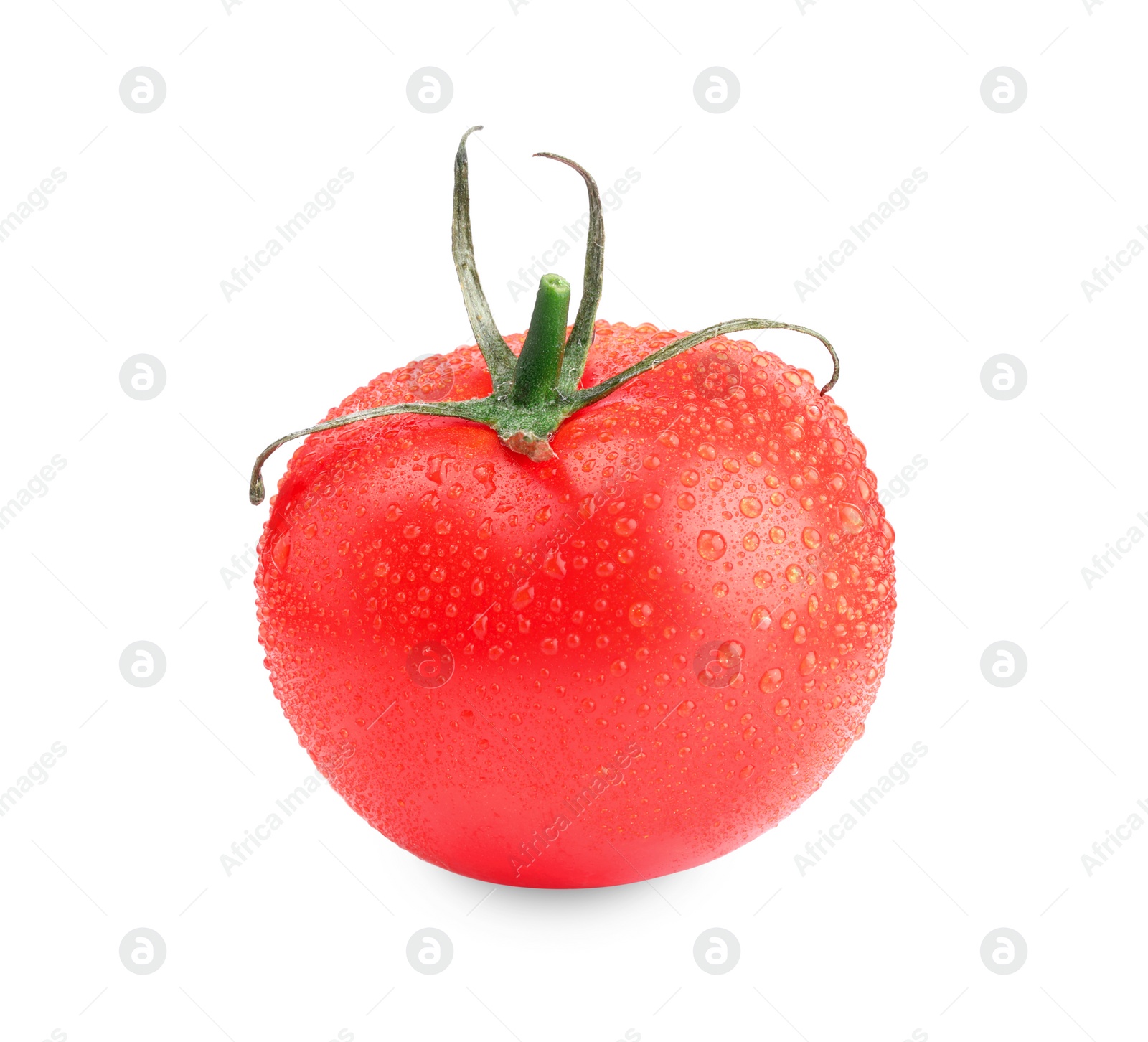 Photo of One red ripe tomato with water drops isolated on white