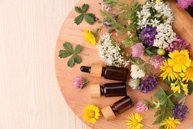 Flat lay composition with bottles of essential oil, flowers and herbs on white wooden table. Space for text