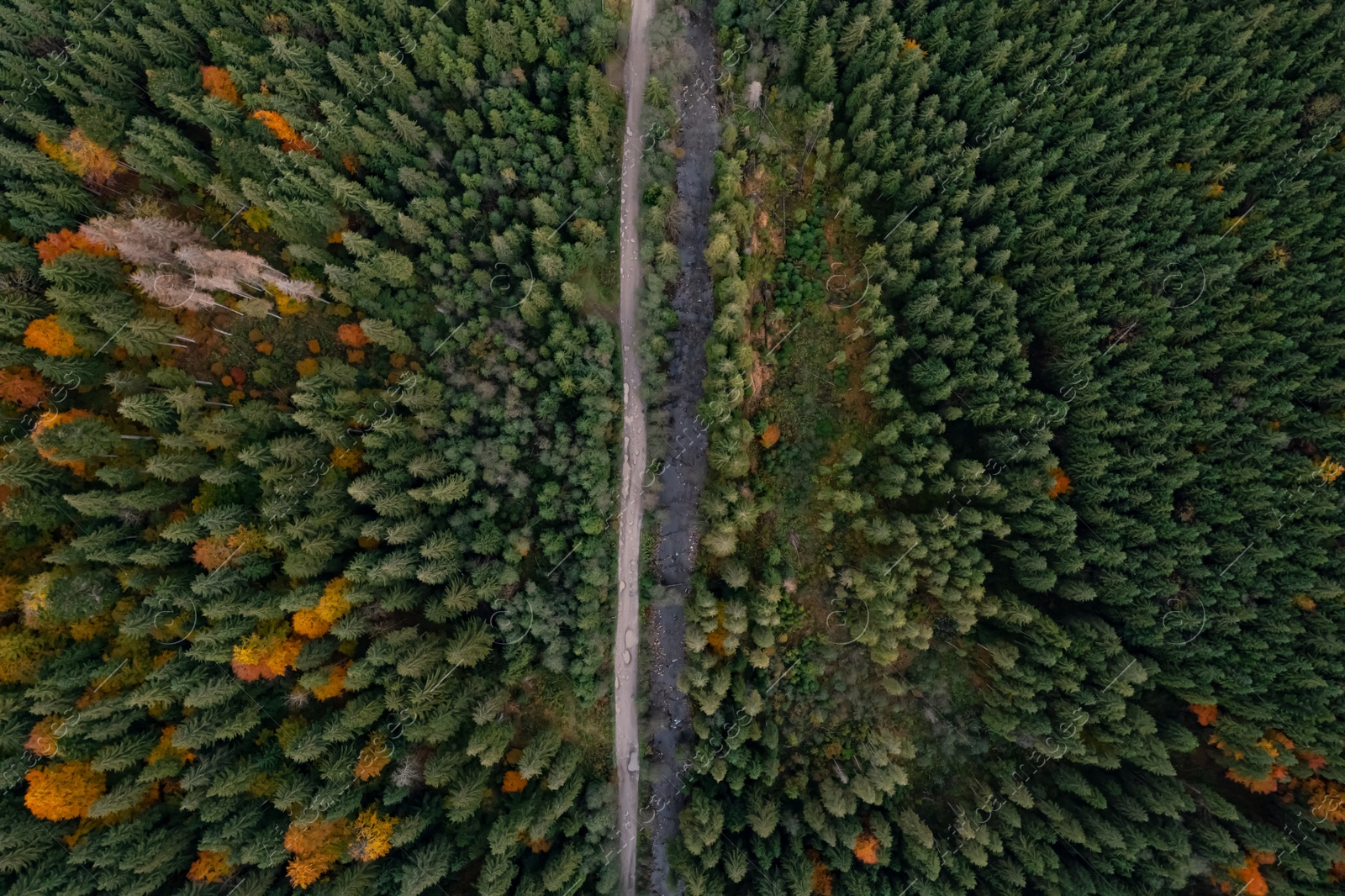 Image of Aerial view of beautiful forest, river and empty road on autumn day