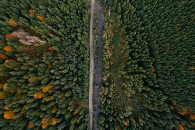 Image of Aerial view of beautiful forest, river and empty road on autumn day