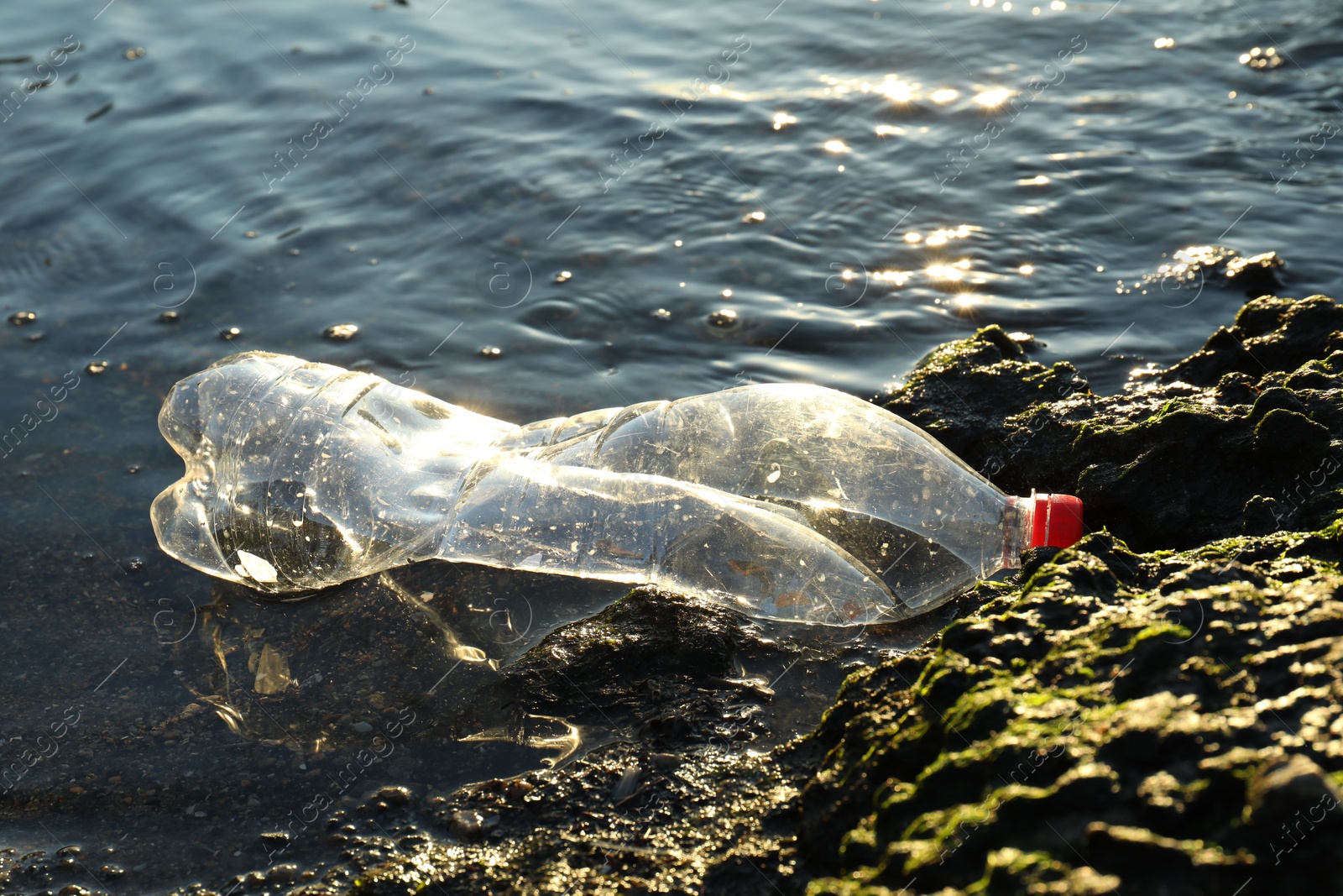 Photo of Used plastic bottle near water outdoors. Environment pollution