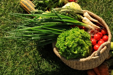 Different fresh ripe vegetables on green grass, above view