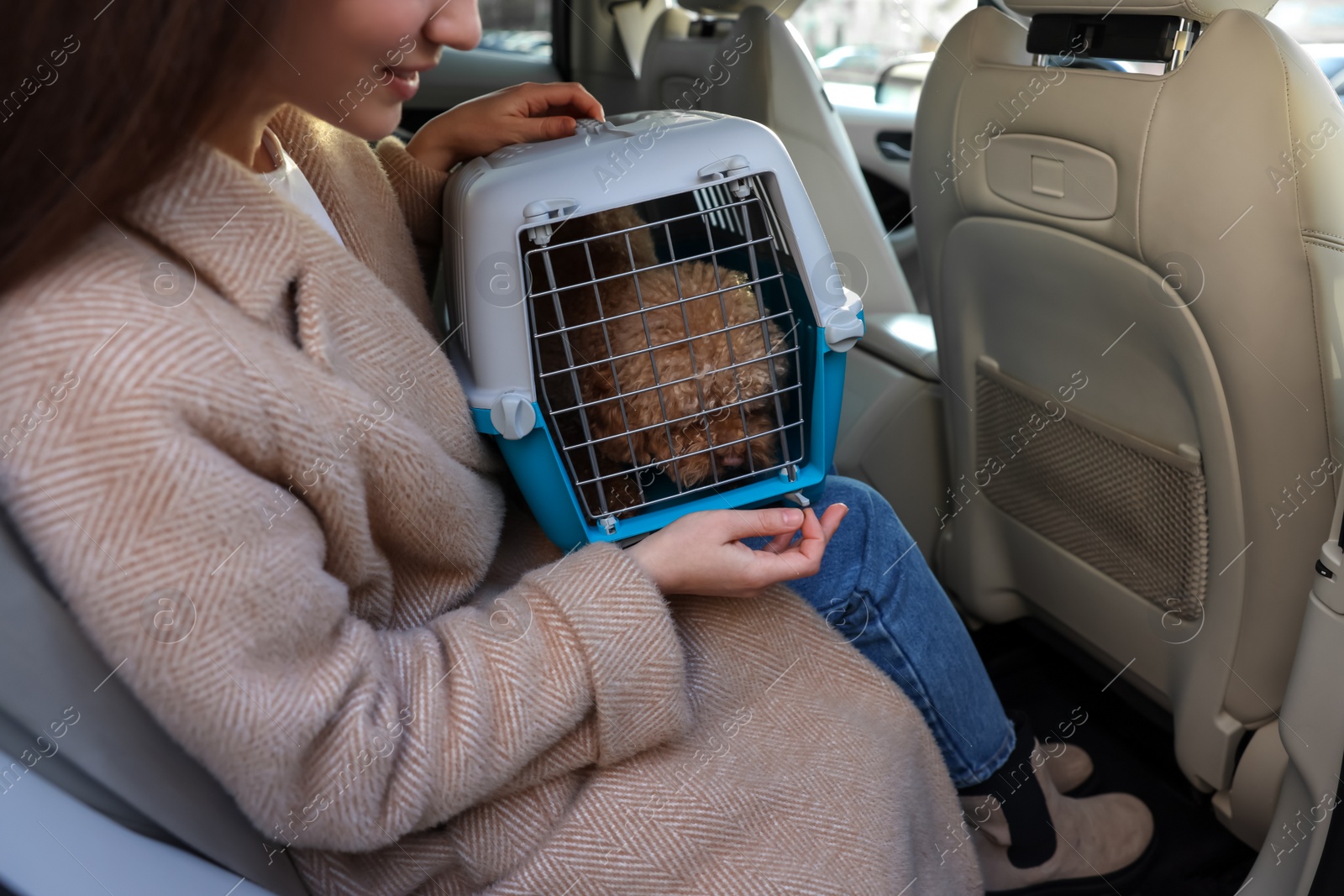 Photo of Woman with pet carrier travelling with dog her by car, closeup