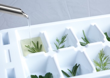 Photo of Pouring oil into ice cube tray with herbs, closeup