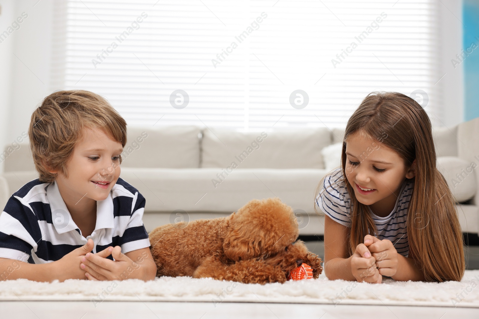 Photo of Little children and cute puppy on carpet at home. Lovely pet