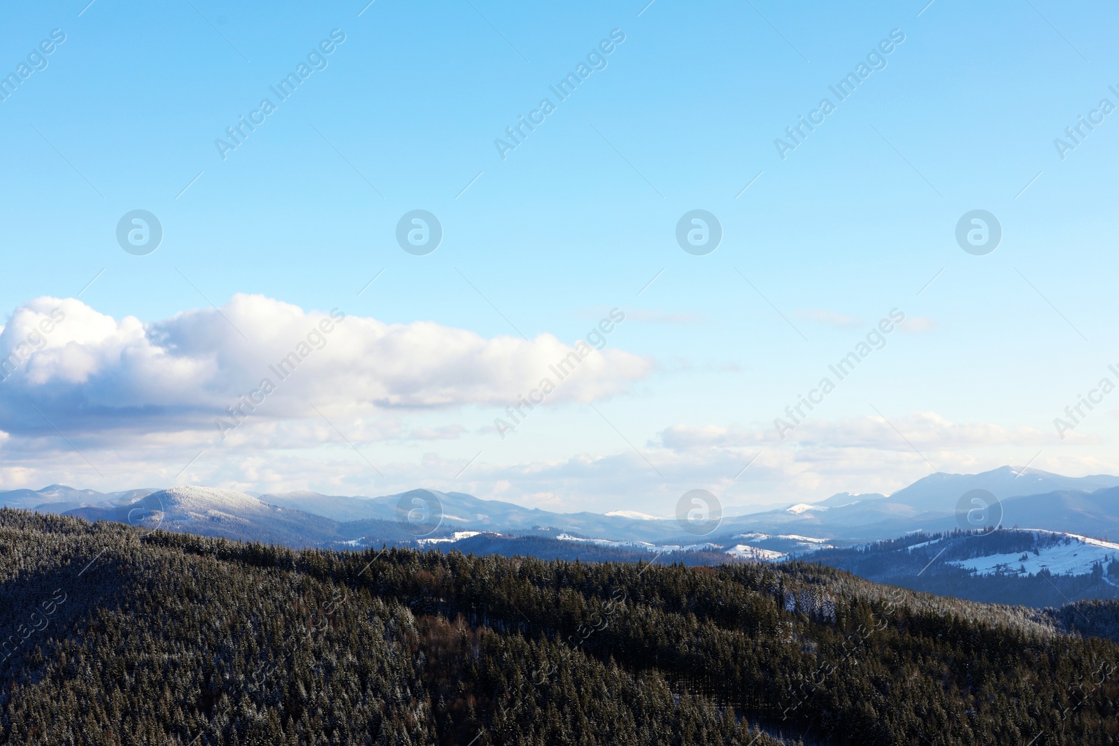 Photo of Beautiful mountain landscape with forest on sunny day in winter