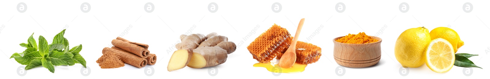 Image of Set of fresh products serve as natural antibiotics isolated on white. Banner design