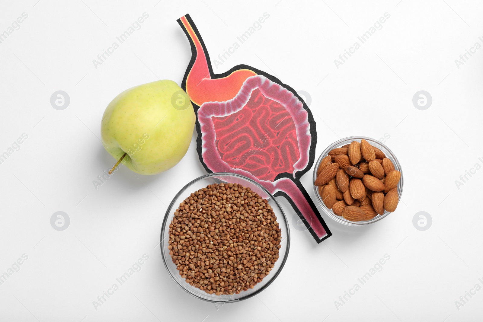 Photo of Gastrointestinal tract model and products to help digestion on white background, top view