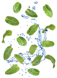 Image of Set of flying green mint leaves with splash of water on white background